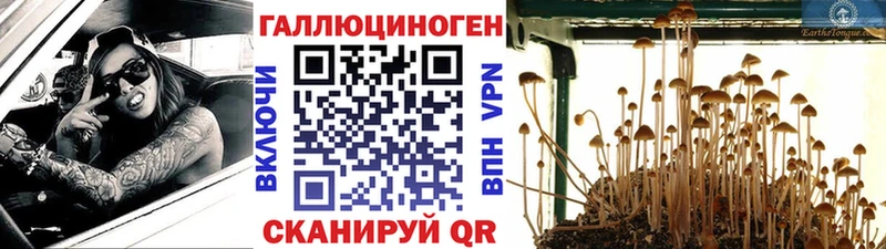 Галлюциногенные грибы GOLDEN TEACHER Семилуки