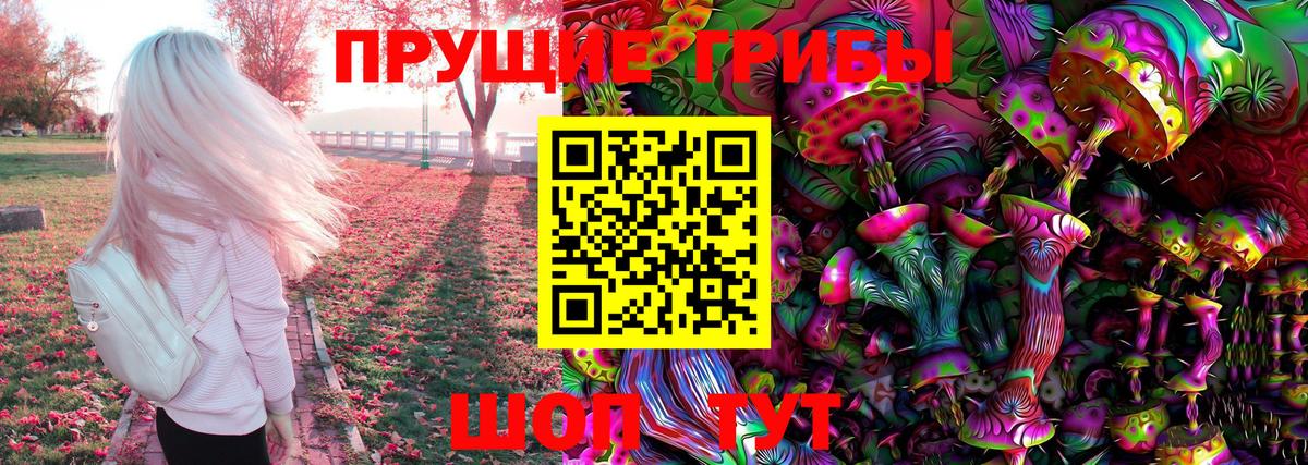 Галлюциногенные грибы GOLDEN TEACHER  Семилуки  цены   Галлюциногенные грибы GOLDEN TEACHER 