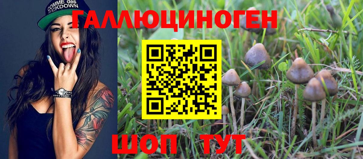 что такое   Вход с VPN  Псилоцибиновые грибы мухоморы  Семилуки  Псилоцибиновые грибы GOLDEN TEACHER 