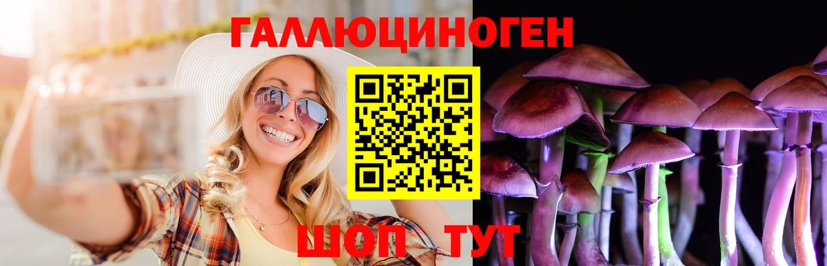 Галлюциногенные грибы Cubensis Семилуки